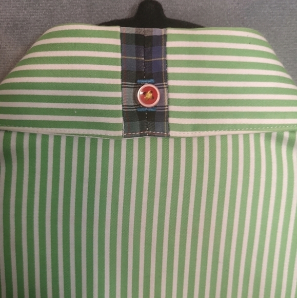 Vintage Robert Graham 90s Green Striped Oversized Long Sleeve Button Down Shirt - Picture 8 of 9